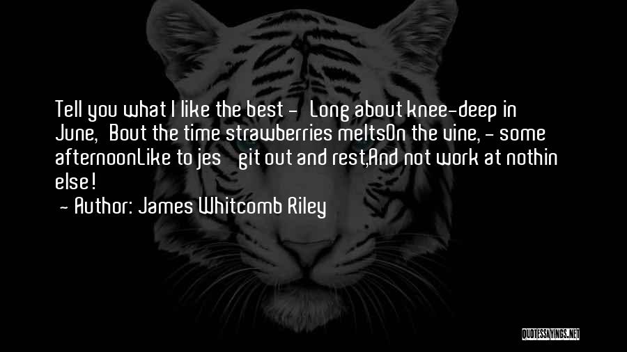 Summer Afternoon Quotes By James Whitcomb Riley