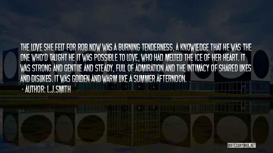 Summer Afternoon Quotes By L.J.Smith