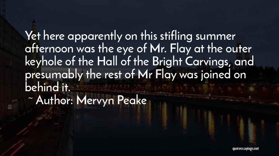 Summer Afternoon Quotes By Mervyn Peake