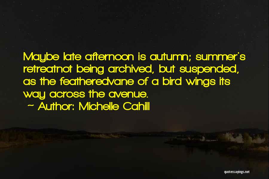 Summer Afternoon Quotes By Michelle Cahill