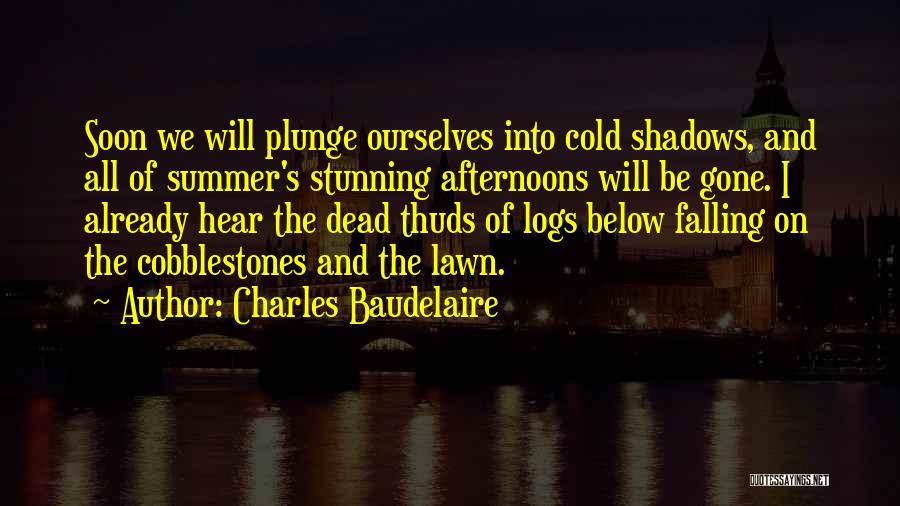 Summer Afternoons Quotes By Charles Baudelaire