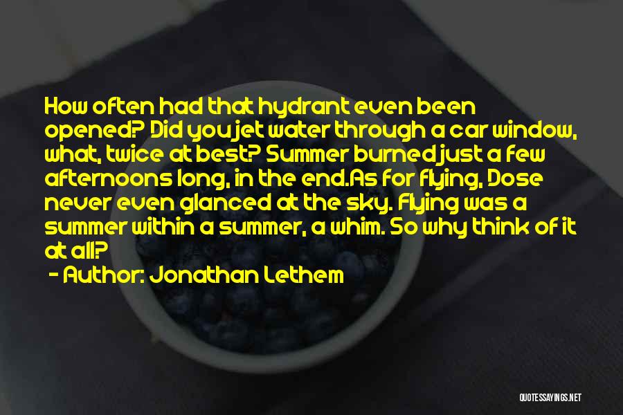 Summer Afternoons Quotes By Jonathan Lethem