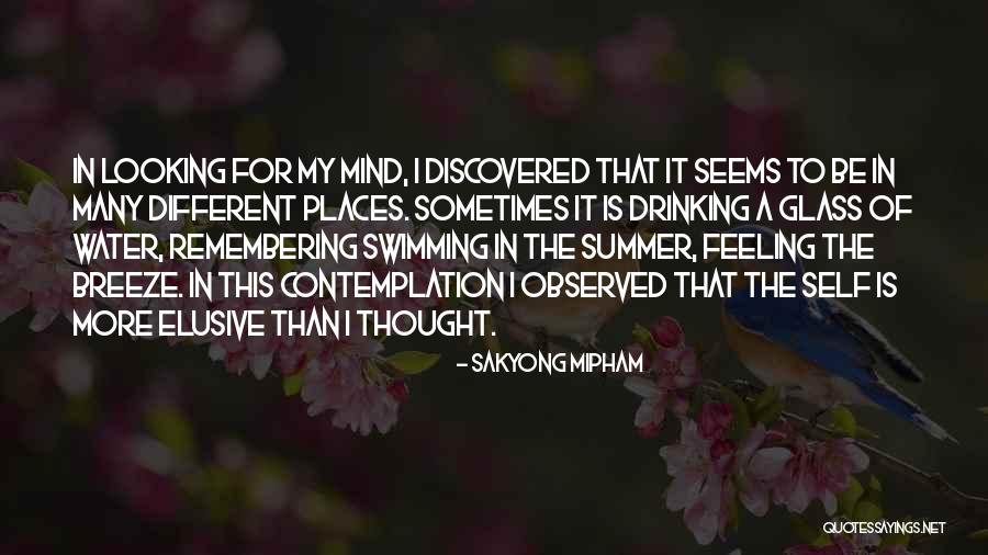 Summer And Drinking Quotes By Sakyong Mipham Summer And Drinking Quotes By Sakyong Mipham