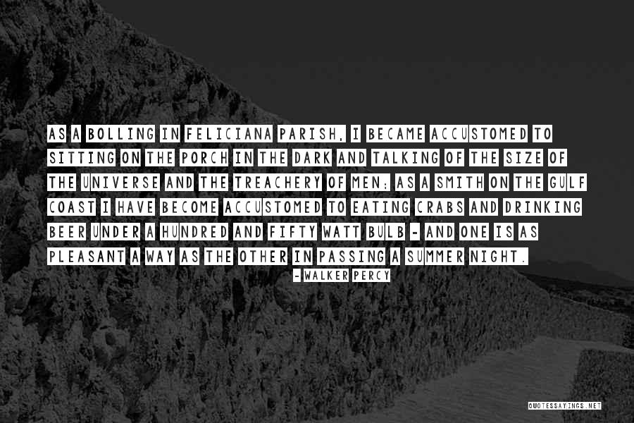 Summer And Drinking Quotes By Walker Percy Summer And Drinking Quotes By Walker Percy