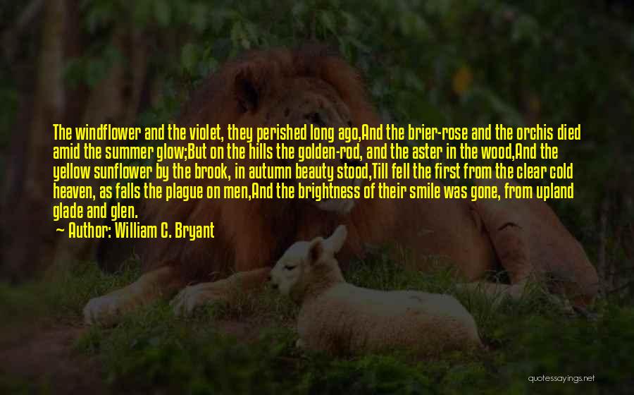 Summer And Fall Quotes By William C. Bryant