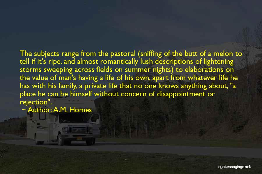 Summer And Family Quotes By A.M. Homes