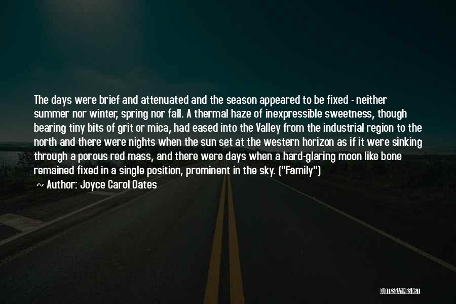 Summer And Family Quotes By Joyce Carol Oates Summer And Family Quotes By Joyce Carol Oates