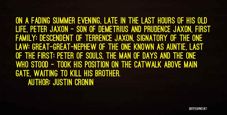 Summer And Family Quotes By Justin Cronin Summer And Family Quotes By Justin Cronin