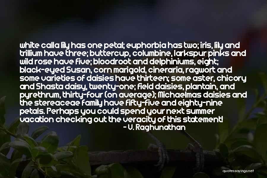 Summer And Family Quotes By V. Raghunathan