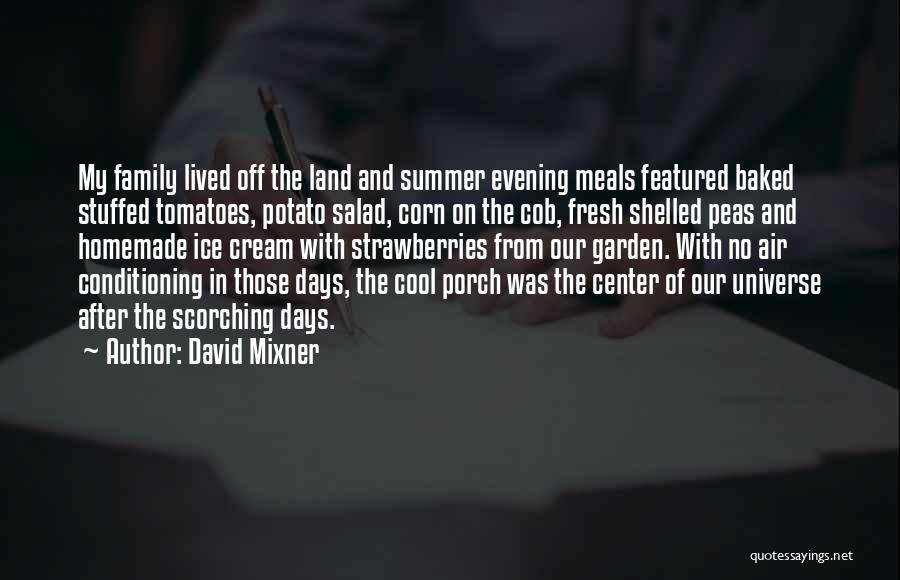 Summer And Food Quotes By David Mixner