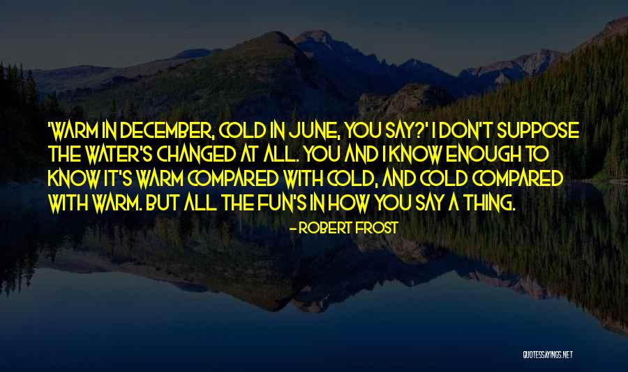 Summer And Fun Quotes By Robert Frost