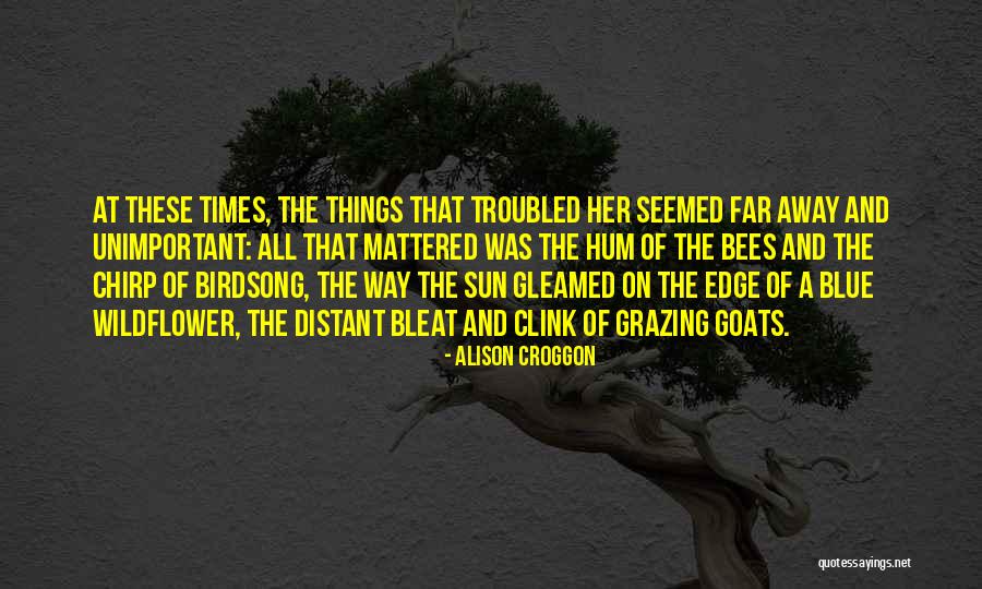 Summer And Happiness Quotes By Alison Croggon Summer And Happiness Quotes By Alison Croggon