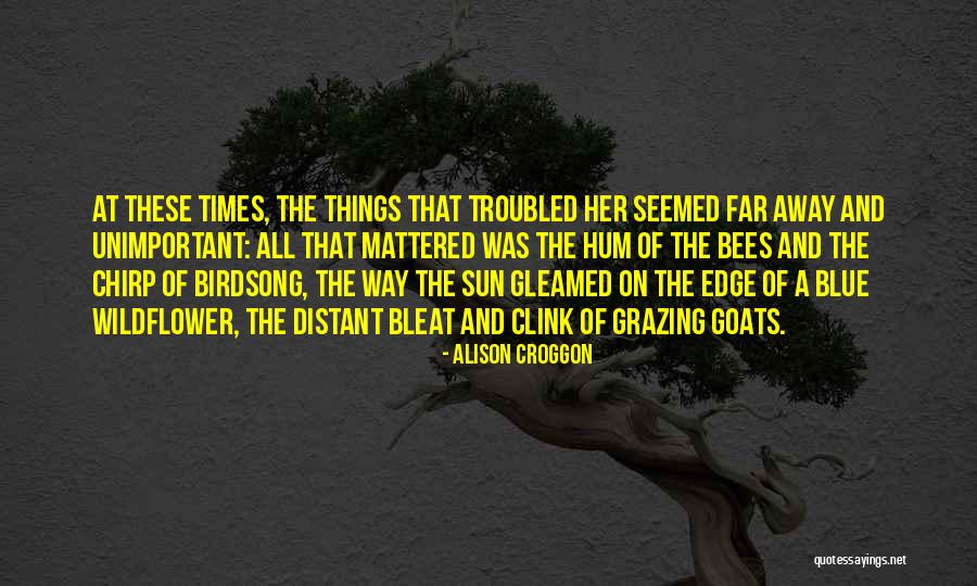 Summer And Happiness Quotes By Alison Croggon