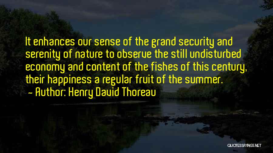 Summer And Happiness Quotes By Henry David Thoreau