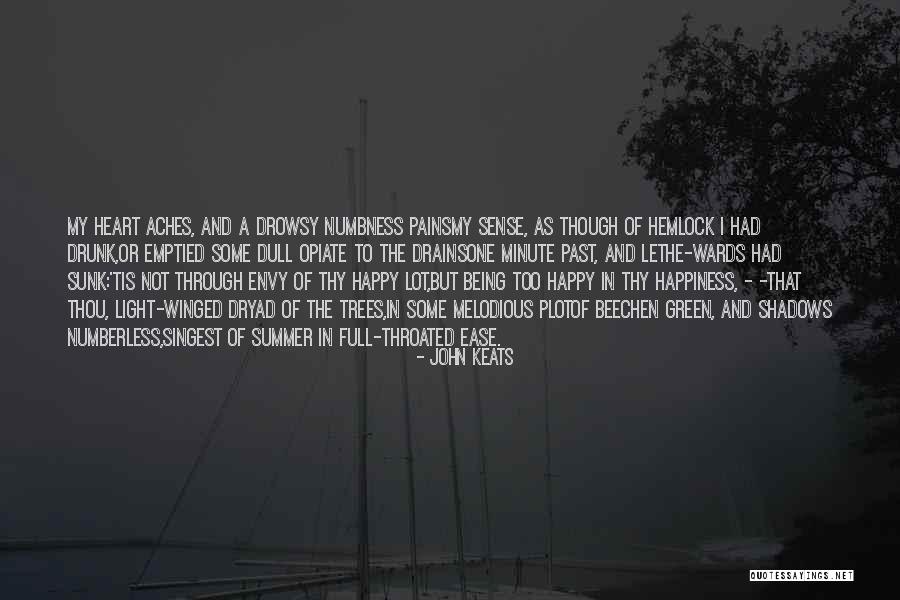 Summer And Happiness Quotes By John Keats