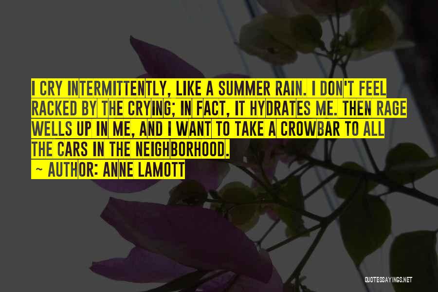 Summer And Rain Quotes By Anne Lamott