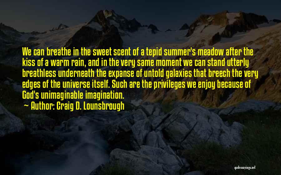 Summer And Rain Quotes By Craig D. Lounsbrough