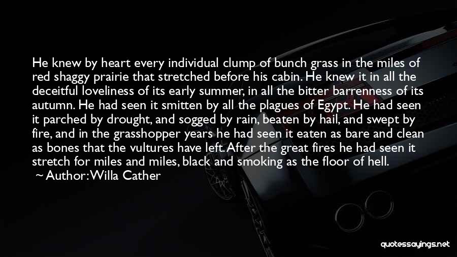 Summer And Rain Quotes By Willa Cather