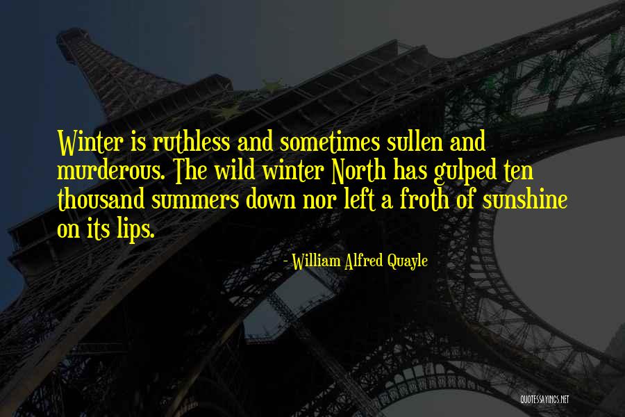 Summer And Sunshine Quotes By William Alfred Quayle