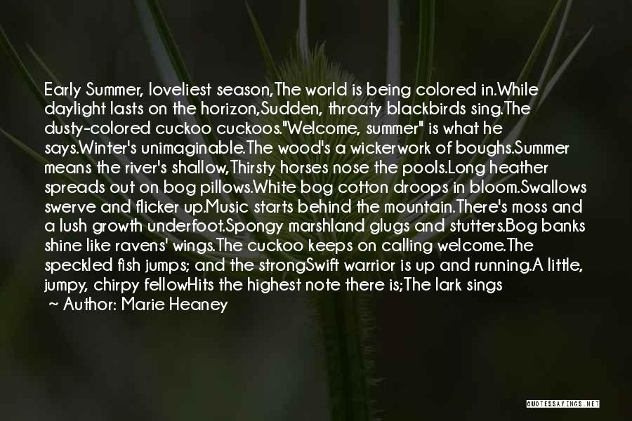 Summer And Winter Quotes By Marie Heaney