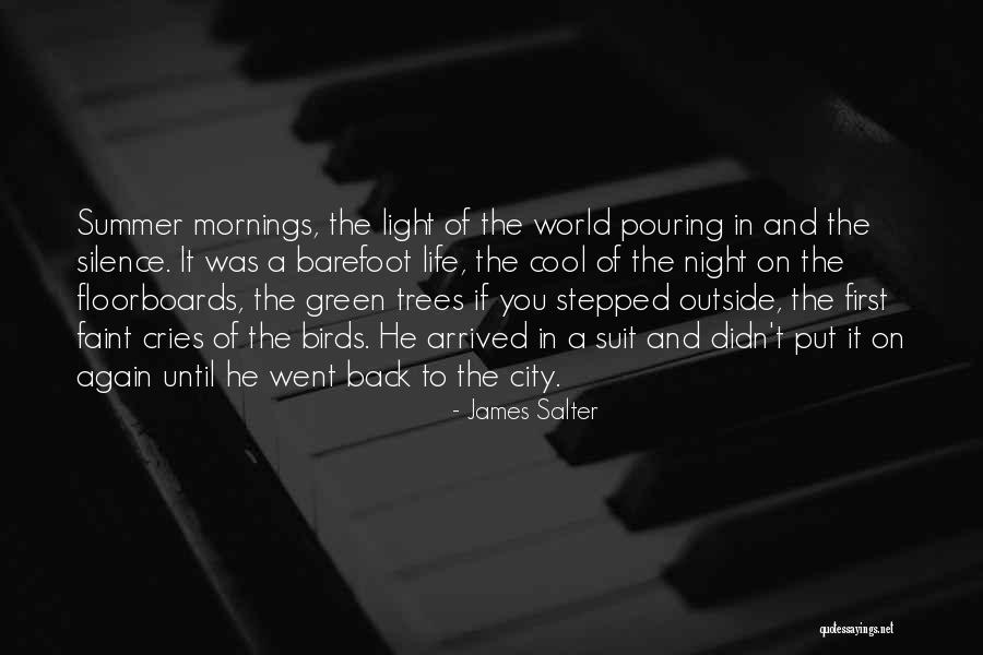 Summer Arrived Quotes By James Salter