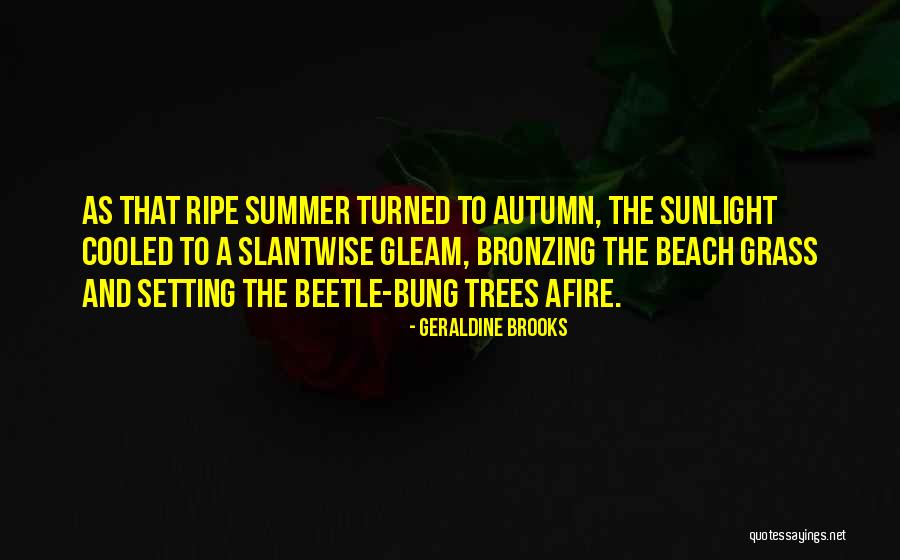 Summer Beach Quotes By Geraldine Brooks