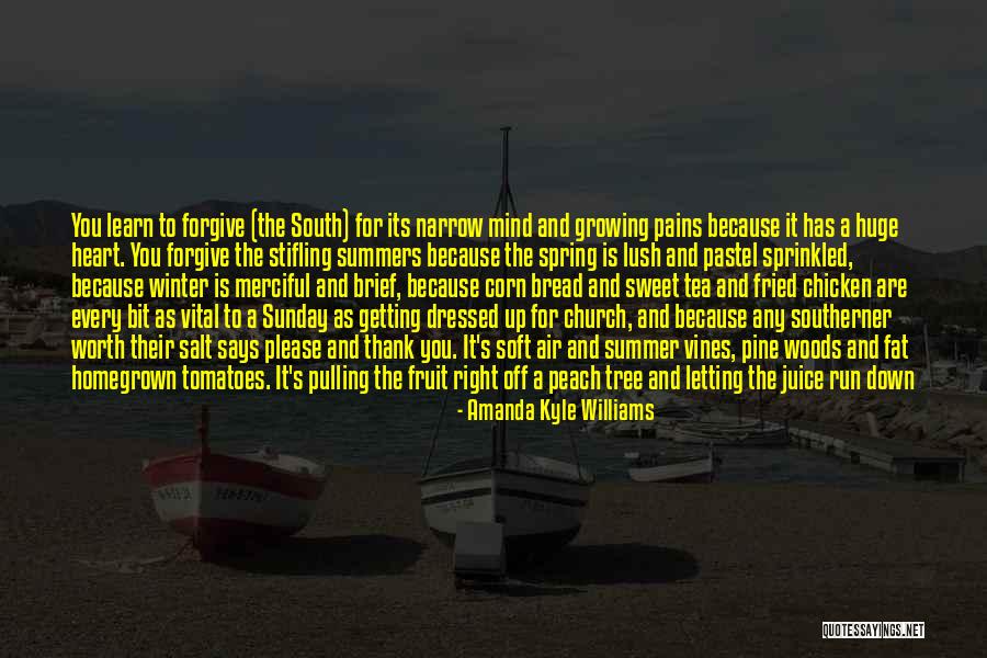 Summer Being Here Quotes By Amanda Kyle Williams Summer Being Here Quotes By Amanda Kyle Williams
