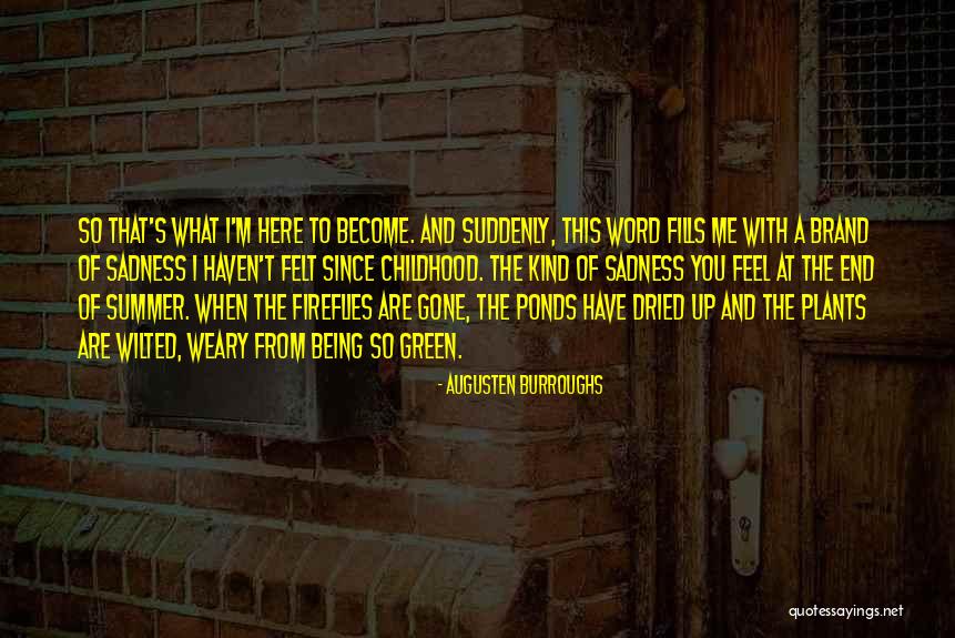 Summer Being Here Quotes By Augusten Burroughs Summer Being Here Quotes By Augusten Burroughs