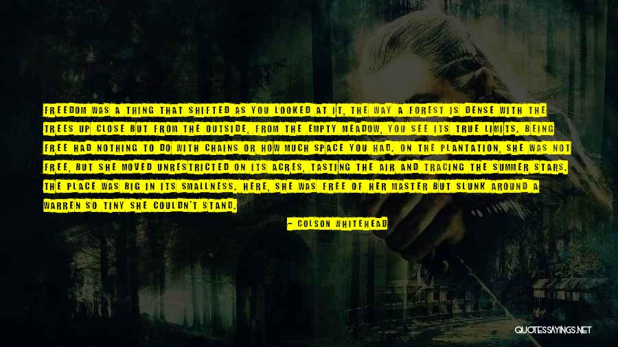 Summer Being Here Quotes By Colson Whitehead Summer Being Here Quotes By Colson Whitehead