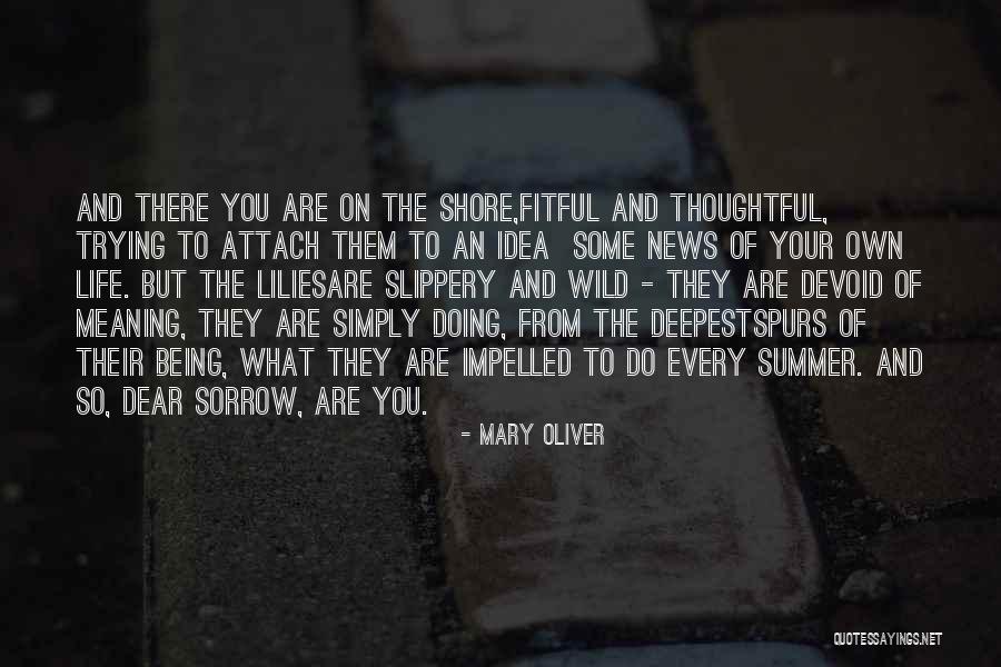 Summer Being Over Quotes By Mary Oliver Summer Being Over Quotes By Mary Oliver