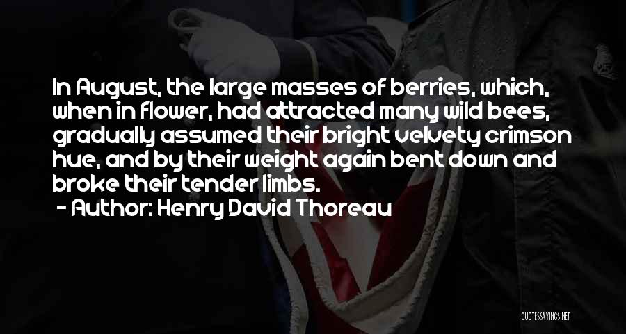 Summer Berries Quotes By Henry David Thoreau