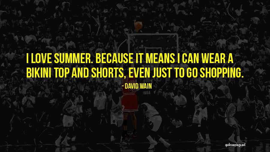 Summer Bikini Quotes By David Wain Summer Bikini Quotes By David Wain