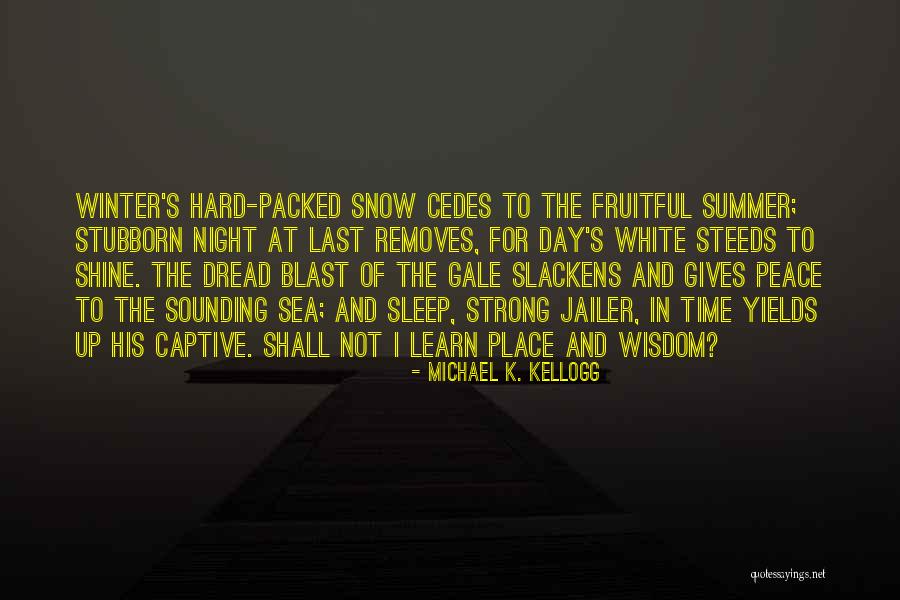 Summer Blast Quotes By Michael K. Kellogg