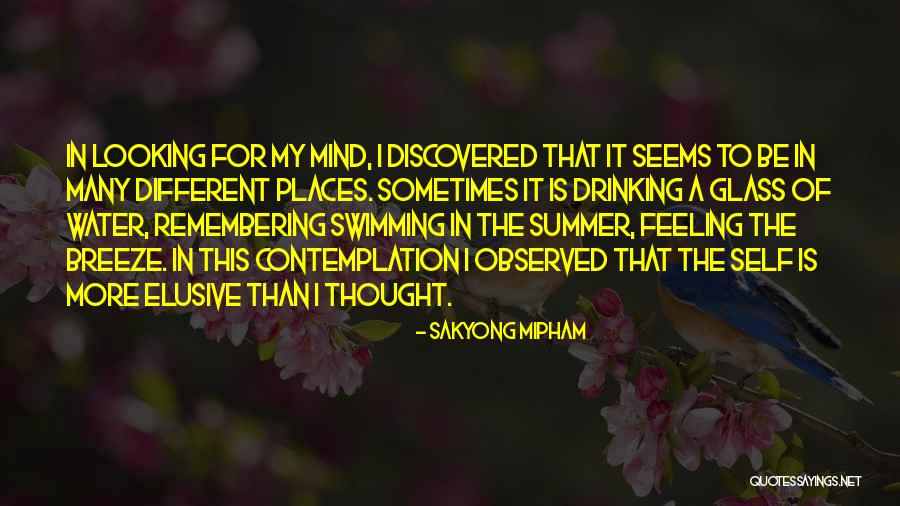 Summer Breeze Quotes By Sakyong Mipham Summer Breeze Quotes By Sakyong Mipham