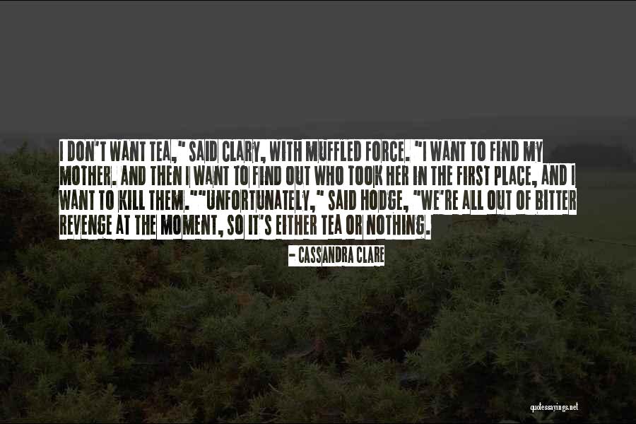 Summer Campfire Quotes By Cassandra Clare