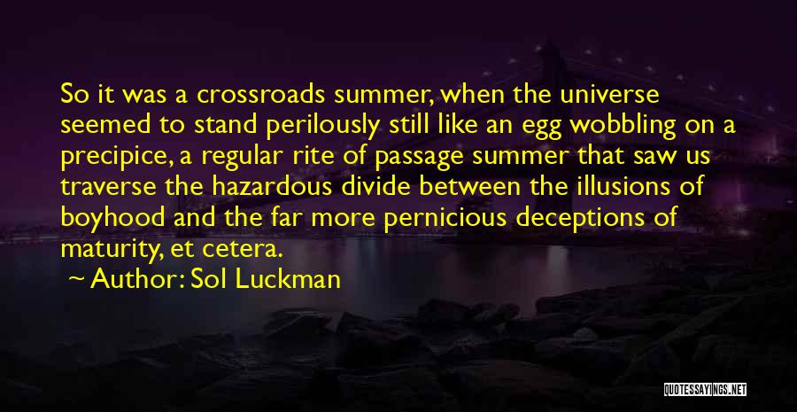 Summer Coming Up Quotes By Sol Luckman