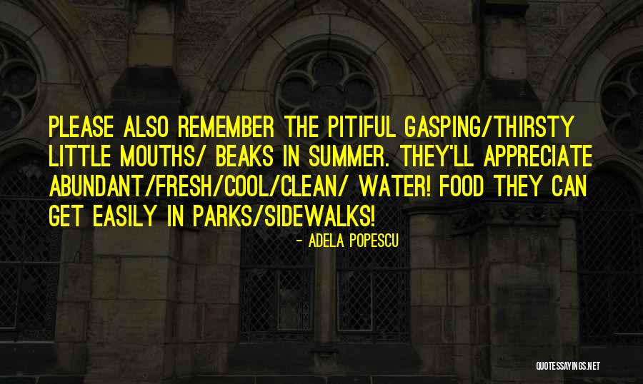 Summer Cool Quotes By Adela Popescu Summer Cool Quotes By Adela Popescu