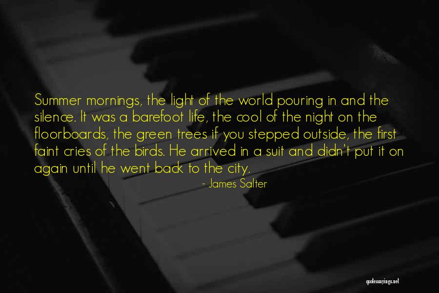 Summer Cool Quotes By James Salter Summer Cool Quotes By James Salter