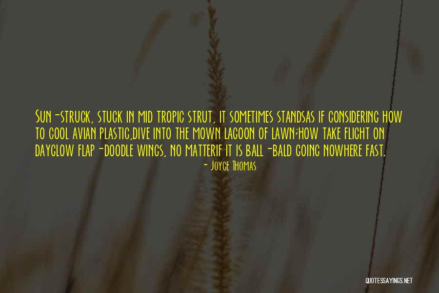 Summer Cool Quotes By Joyce Thomas Summer Cool Quotes By Joyce Thomas