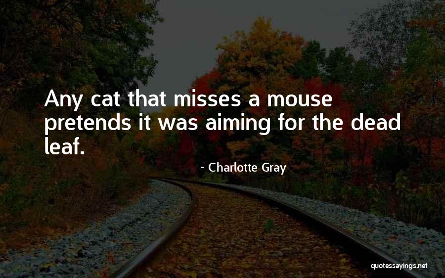 Summer Ending Fall Beginning Quotes By Charlotte Gray Summer Ending Fall Beginning Quotes By Charlotte Gray