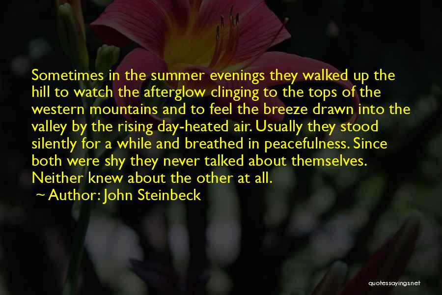 Summer Evenings Quotes By John Steinbeck