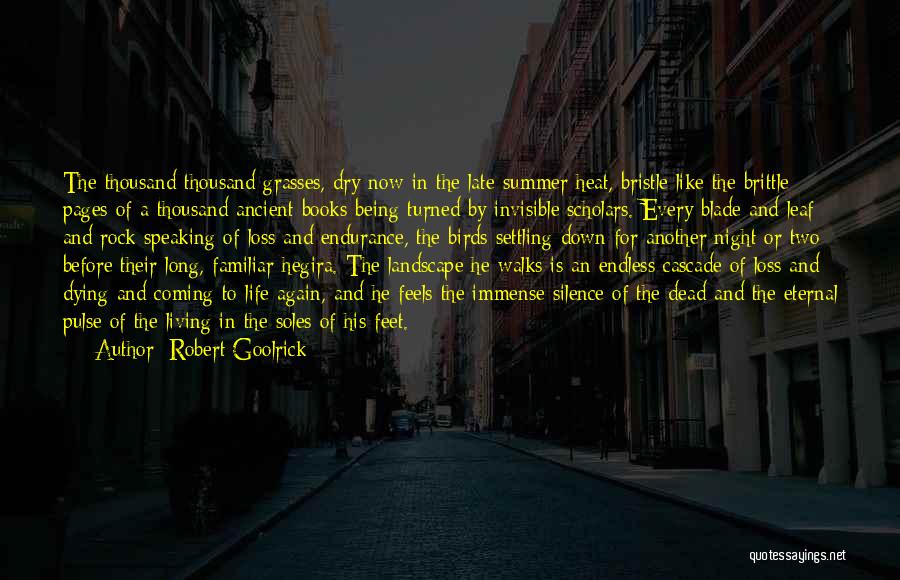 Summer Feels Quotes By Robert Goolrick