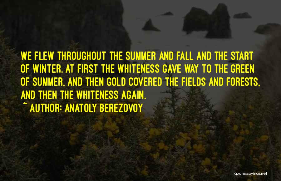 Summer Fields Quotes By Anatoly Berezovoy