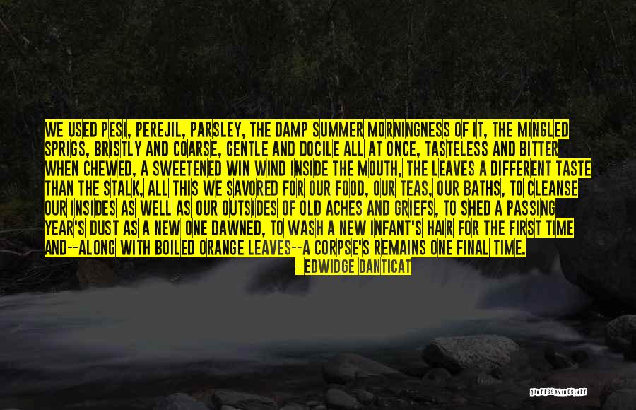 Summer Food Quotes By Edwidge Danticat Summer Food Quotes By Edwidge Danticat