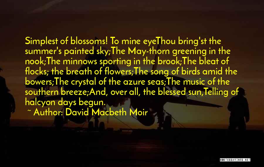 Summer Has Just Begun Quotes By David Macbeth Moir