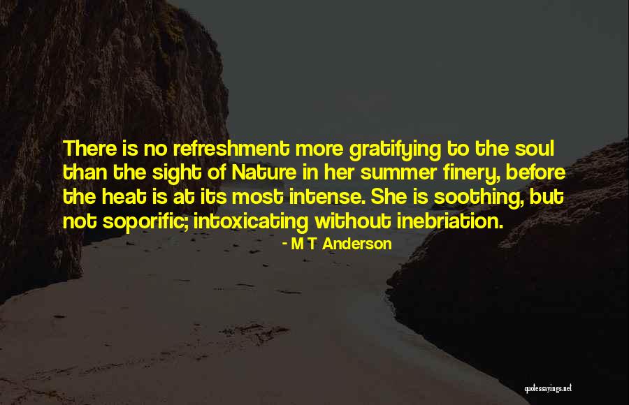 Summer Heat Quotes By M T Anderson