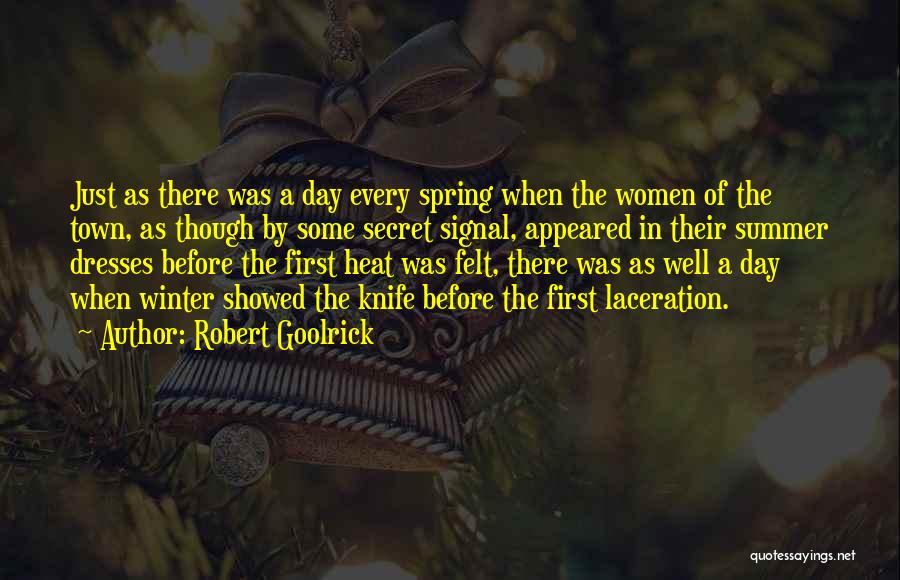 Summer Heat Quotes By Robert Goolrick