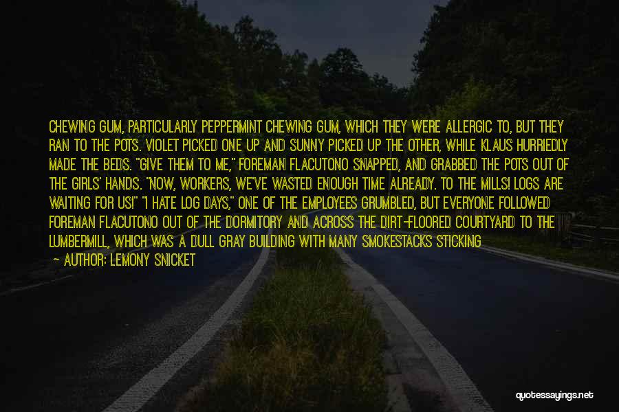 Summer House Quotes By Lemony Snicket