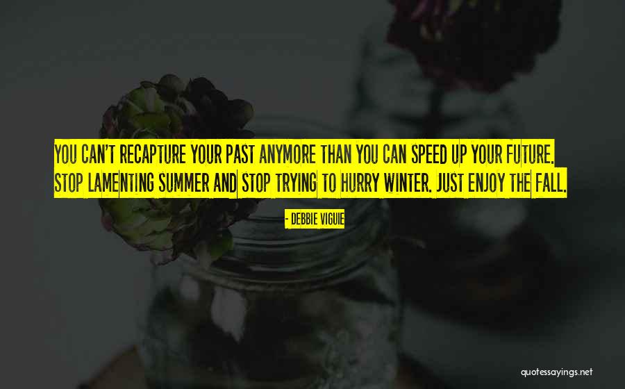 Summer Hurry Quotes By Debbie Viguie Summer Hurry Quotes By Debbie Viguie