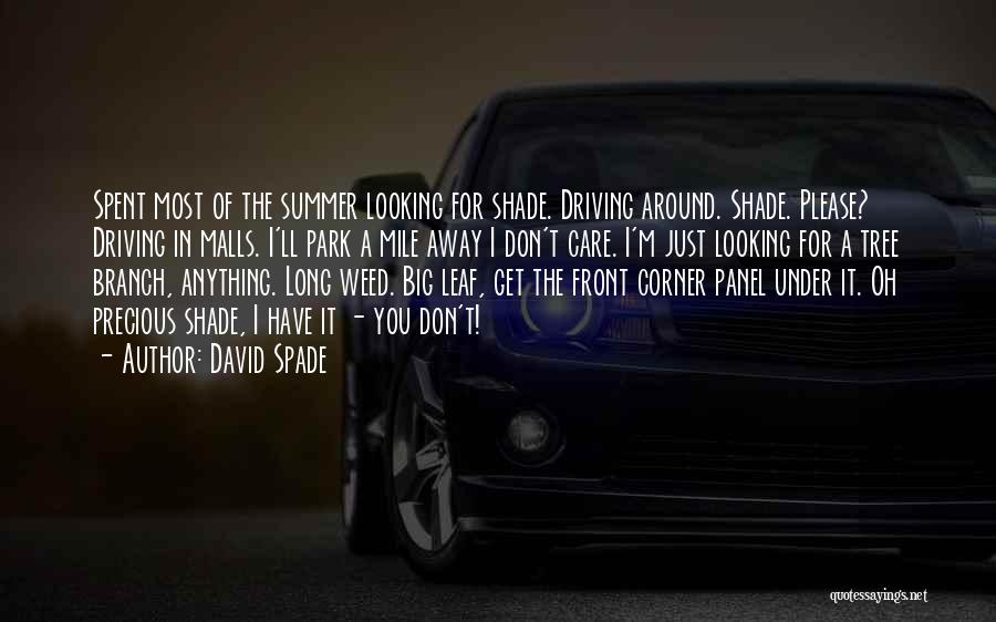 Summer Is Around The Corner Quotes By David Spade